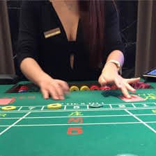 499net